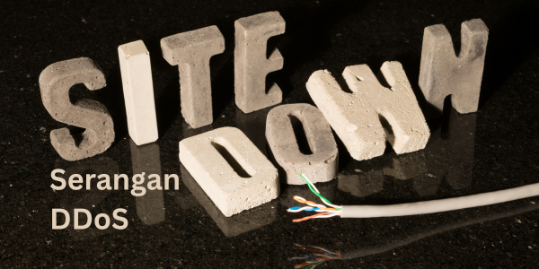 Serangan DDoS