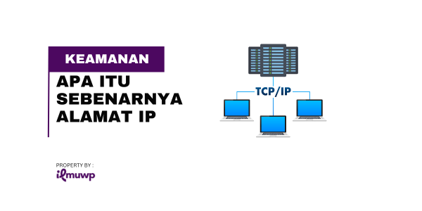 Apa Itu Sebenarnya Alamat IP