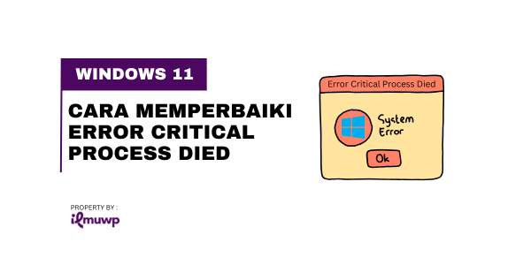 Cara Memperbaiki Error Critical Process Died