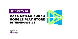 Google Play Store di Windows 11